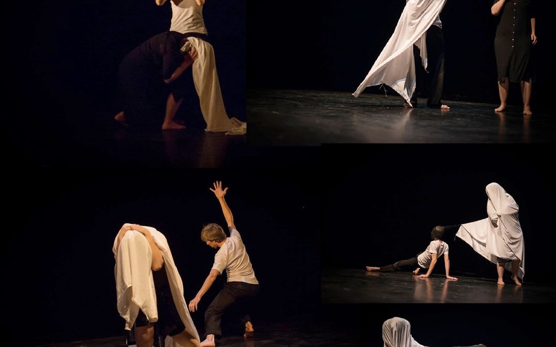 28.02.20 : sortie de résidence de la Compagnie Platform 88